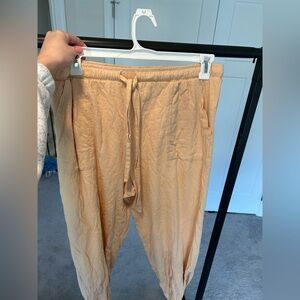 Aerie Pilled Joggers